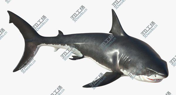 images/goods_img/20210312/3D Great White Shark Rigged model/5.jpg